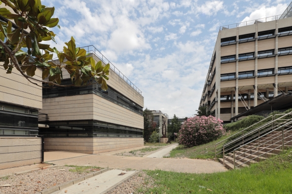 Facultat de Farmàcia i Ciències de l'Alimentació